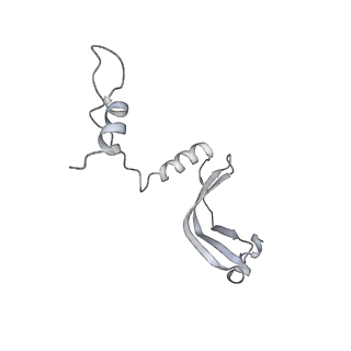 17367_8p2k_Nb_v1-1
Ternary complex of translating ribosome, NAC and METAP1