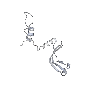 17367_8p2k_Nb_v2-0
Ternary complex of translating ribosome, NAC and METAP1