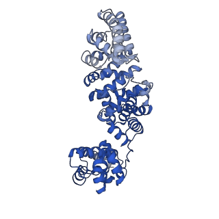 17369_8p2l_B_v1-0
A CHIMERA construct containing human SARM1 ARM and SAM domains and C. elegans TIR domain.