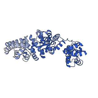 17369_8p2l_D_v1-0
A CHIMERA construct containing human SARM1 ARM and SAM domains and C. elegans TIR domain.