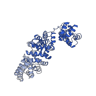 17369_8p2l_E_v1-0
A CHIMERA construct containing human SARM1 ARM and SAM domains and C. elegans TIR domain.