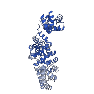 17369_8p2l_F_v1-0
A CHIMERA construct containing human SARM1 ARM and SAM domains and C. elegans TIR domain.
