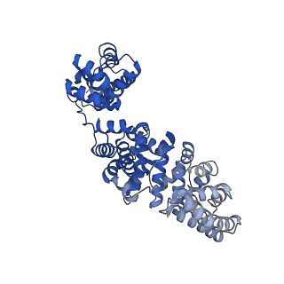 17369_8p2l_G_v1-0
A CHIMERA construct containing human SARM1 ARM and SAM domains and C. elegans TIR domain.