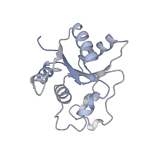 17369_8p2l_I_v1-0
A CHIMERA construct containing human SARM1 ARM and SAM domains and C. elegans TIR domain.