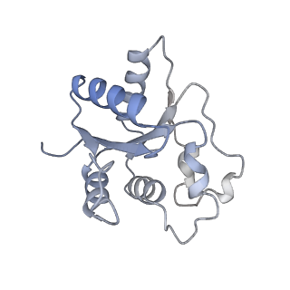 17369_8p2l_J_v1-0
A CHIMERA construct containing human SARM1 ARM and SAM domains and C. elegans TIR domain.