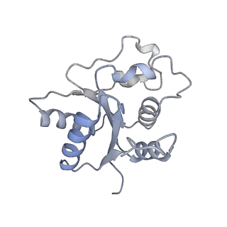 17369_8p2l_L_v1-0
A CHIMERA construct containing human SARM1 ARM and SAM domains and C. elegans TIR domain.