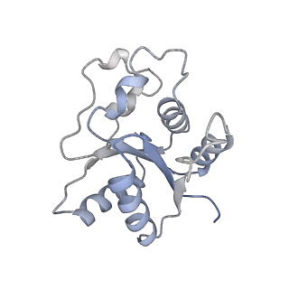 17369_8p2l_M_v1-0
A CHIMERA construct containing human SARM1 ARM and SAM domains and C. elegans TIR domain.