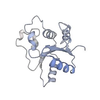 17369_8p2l_N_v1-0
A CHIMERA construct containing human SARM1 ARM and SAM domains and C. elegans TIR domain.