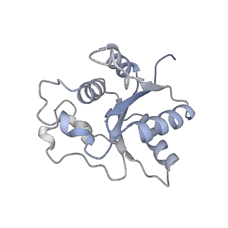 17369_8p2l_O_v1-0
A CHIMERA construct containing human SARM1 ARM and SAM domains and C. elegans TIR domain.