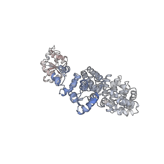 17370_8p2m_D_v1-0
C. elegans TIR-1 protein.