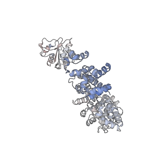 17370_8p2m_E_v1-0
C. elegans TIR-1 protein.