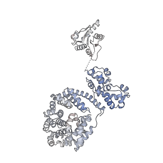 17370_8p2m_G_v1-0
C. elegans TIR-1 protein.