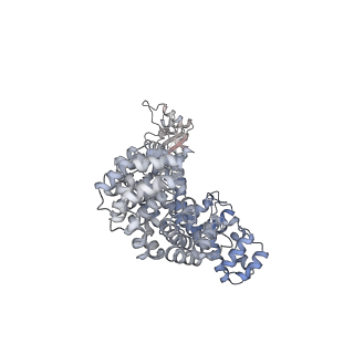 17370_8p2m_I_v1-0
C. elegans TIR-1 protein.