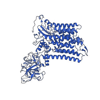 20236_6p25_A_v1-4
Structure of S. cerevisiae protein O-mannosyltransferase Pmt1-Pmt2 complex bound to the sugar donor and a peptide acceptor