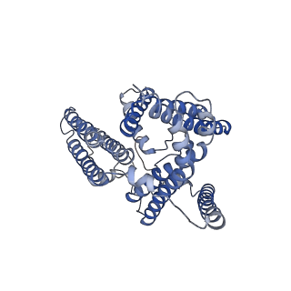 20238_6p2j_A_v1-2
Dimeric structure of ACAT1