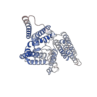 20238_6p2j_B_v1-2
Dimeric structure of ACAT1