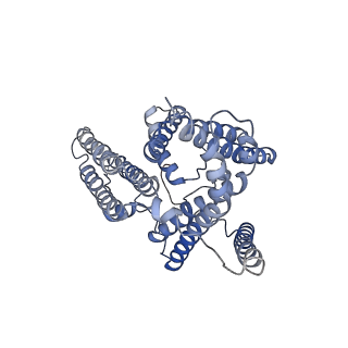 20239_6p2p_A_v1-2
Tetrameric structure of ACAT1