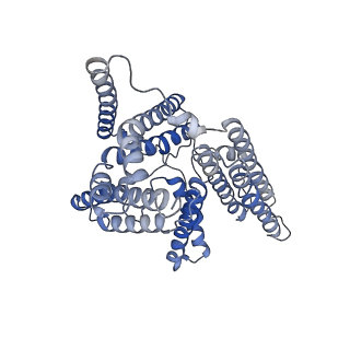 20239_6p2p_B_v1-2
Tetrameric structure of ACAT1