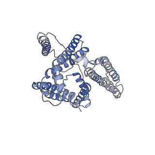 20239_6p2p_C_v1-2
Tetrameric structure of ACAT1