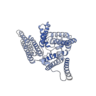 20239_6p2p_D_v1-2
Tetrameric structure of ACAT1