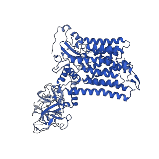 20240_6p2r_A_v1-5
Structure of S. cerevisiae protein O-mannosyltransferase Pmt1-Pmt2 complex bound to the sugar donor