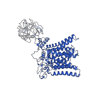 20240_6p2r_B_v1-5
Structure of S. cerevisiae protein O-mannosyltransferase Pmt1-Pmt2 complex bound to the sugar donor