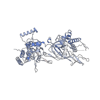 13176_7p30_6_v1-0
3.0 A resolution structure of a DNA-loaded MCM double hexamer