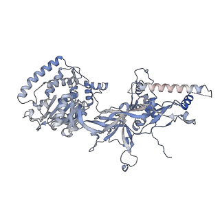 13176_7p30_7_v1-0
3.0 A resolution structure of a DNA-loaded MCM double hexamer