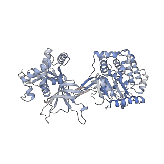 13176_7p30_A_v1-0
3.0 A resolution structure of a DNA-loaded MCM double hexamer