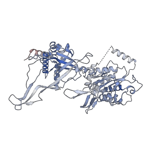 13176_7p30_B_v1-0
3.0 A resolution structure of a DNA-loaded MCM double hexamer