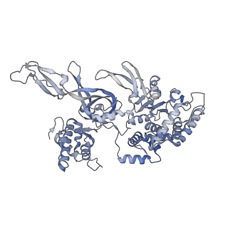 13176_7p30_C_v1-0
3.0 A resolution structure of a DNA-loaded MCM double hexamer