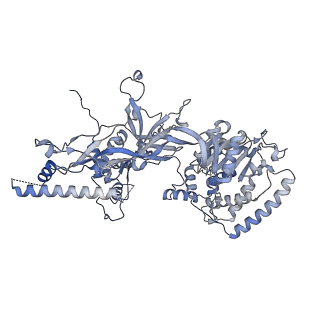 13176_7p30_F_v1-0
3.0 A resolution structure of a DNA-loaded MCM double hexamer