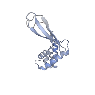 13178_7p37_B_v1-1
Streptomyces coelicolor ATP-loaded NrdR