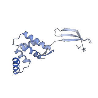 13178_7p37_C_v1-1
Streptomyces coelicolor ATP-loaded NrdR