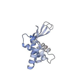 13178_7p37_D_v1-1
Streptomyces coelicolor ATP-loaded NrdR