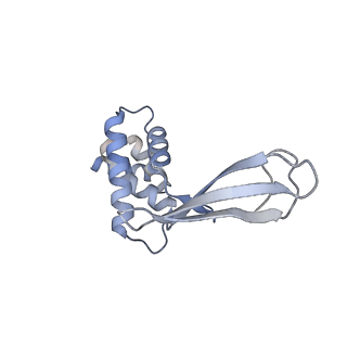 13178_7p37_J_v1-1
Streptomyces coelicolor ATP-loaded NrdR