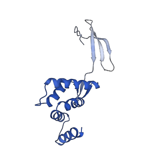 13179_7p3f_D_v1-1
Streptomyces coelicolor dATP/ATP-loaded NrdR in complex with its cognate DNA