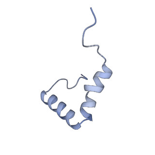 13180_7p3k_1_v1-1
Cryo-EM structure of 70S ribosome stalled with TnaC peptide (control)