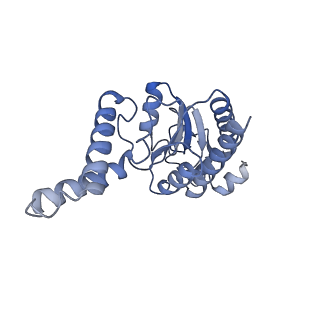 13180_7p3k_B_v1-1
Cryo-EM structure of 70S ribosome stalled with TnaC peptide (control)
