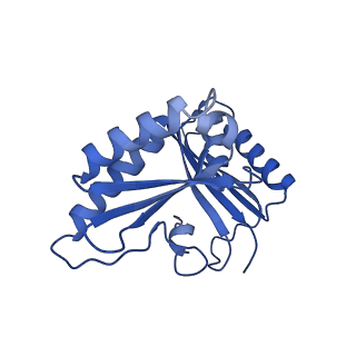 13180_7p3k_C_v1-1
Cryo-EM structure of 70S ribosome stalled with TnaC peptide (control)