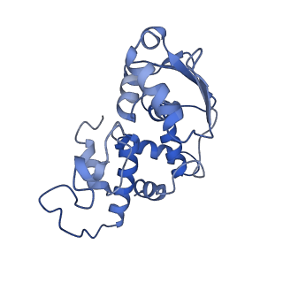 13180_7p3k_D_v1-1
Cryo-EM structure of 70S ribosome stalled with TnaC peptide (control)