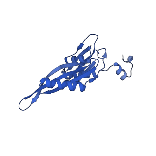 13180_7p3k_E_v1-1
Cryo-EM structure of 70S ribosome stalled with TnaC peptide (control)