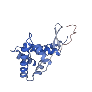 13180_7p3k_G_v1-1
Cryo-EM structure of 70S ribosome stalled with TnaC peptide (control)