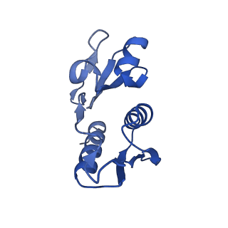 13180_7p3k_H_v1-1
Cryo-EM structure of 70S ribosome stalled with TnaC peptide (control)
