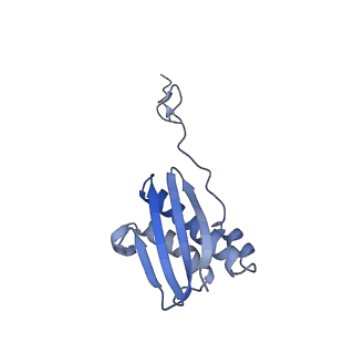 13180_7p3k_I_v1-1
Cryo-EM structure of 70S ribosome stalled with TnaC peptide (control)