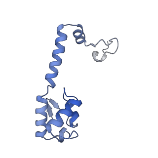 13180_7p3k_M_v1-1
Cryo-EM structure of 70S ribosome stalled with TnaC peptide (control)