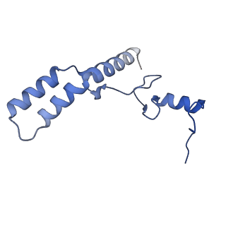 13180_7p3k_N_v1-1
Cryo-EM structure of 70S ribosome stalled with TnaC peptide (control)