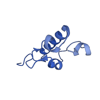 13180_7p3k_R_v1-1
Cryo-EM structure of 70S ribosome stalled with TnaC peptide (control)