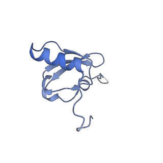 13180_7p3k_S_v1-1
Cryo-EM structure of 70S ribosome stalled with TnaC peptide (control)