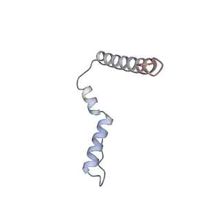 13180_7p3k_U_v1-1
Cryo-EM structure of 70S ribosome stalled with TnaC peptide (control)